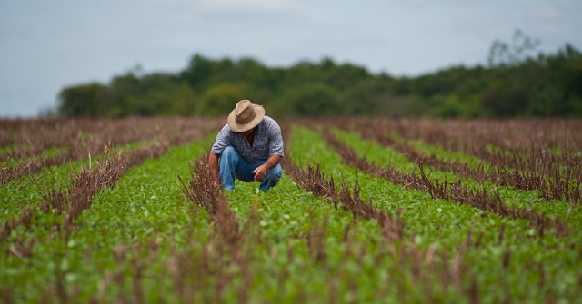 Produtores Rurais